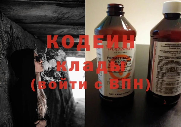 крисы Киренск